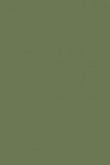 Kasein Staupe | Calke Green Nr. 34