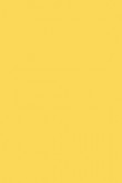 Modern Emulsion | Citron no. 74