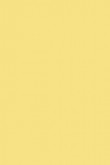 Soft Distemper | Dayroom Yellow no. 233