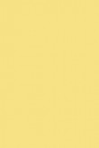 Casein Distemper | Dayroom Yellow no. 233