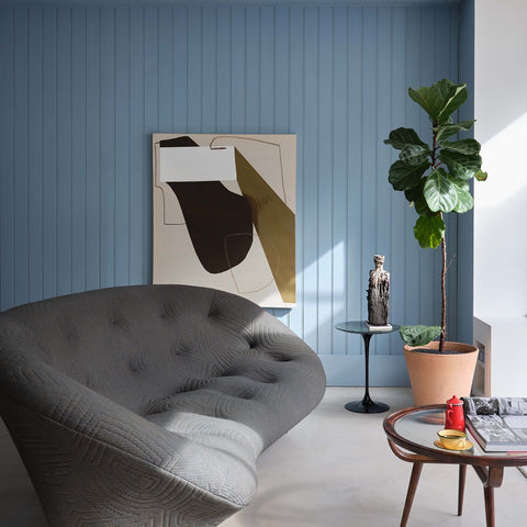 Modern Eggshell | Kittiwake no. 307