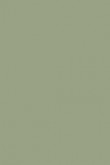 Moderne Emulsion | Flechte Nr. 19