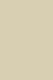 Casein Distemper | Old White no. 4