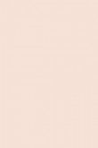 Exterior Eggshell | Pink Ground No. 202