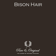 Traditional Paint Eggshell | Bison Hair