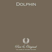 Calx Kalei | Dolphin