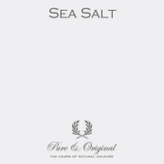 Traditional Paint High-Gloss | Sea Salt