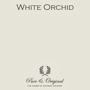 Colour Sample | White Orchid