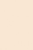 Moderne Emulsion | Ringwold Ground Nr. 208