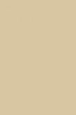 Exterior Masonry Paint | Savage Ground no. 213