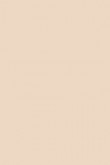 Full Gloss | Setting Plaster no. 231