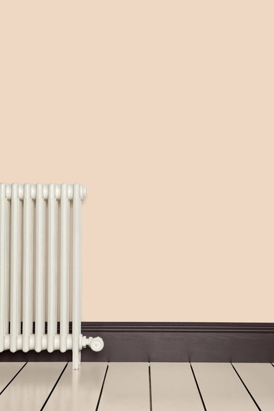 Modern Eggshell | Setting Plaster no. 231