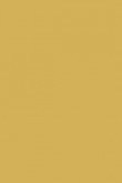 Casein Distemper | Sudbury Yellow no. 51