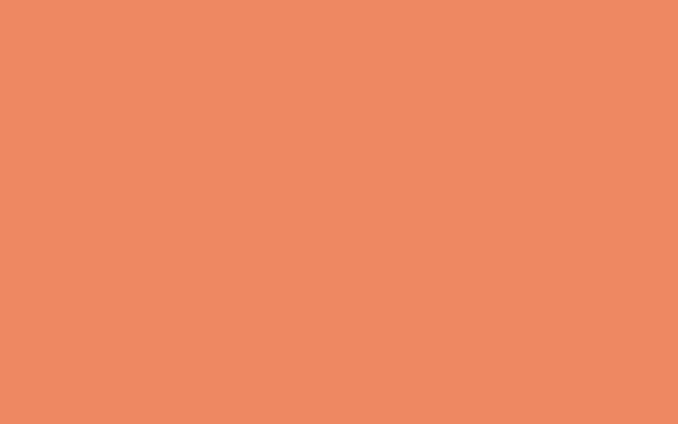 Intelligent Masonry Paint | Theatrical