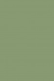 Moderne Emulsion | Yeabridge Green Nr. 287