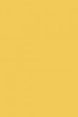 Estate Emulsion | Yellow Ground no. 218