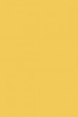 Modern Emulsion | Yellow Ground no. 218
